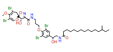 Psammaplysin R